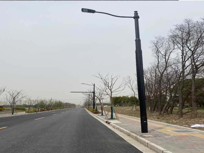 阿拉善右旗上海综合杆 太阳能路灯工程